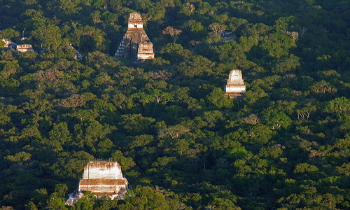 Tikal Nationl Park - view over